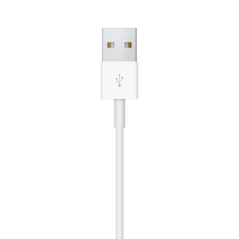 Cabo de carregamento USB para Apple Watch (1 m)