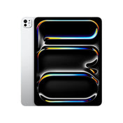 iPad Pro 13" WiFi 256GB/Standard glass - Silver - Usado