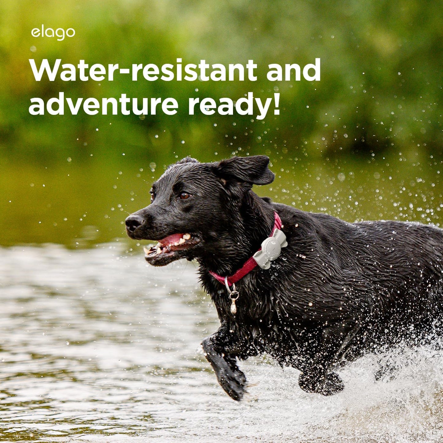 Capa para AirTag Elago para coleiras ou cordões - Cinza Pedra