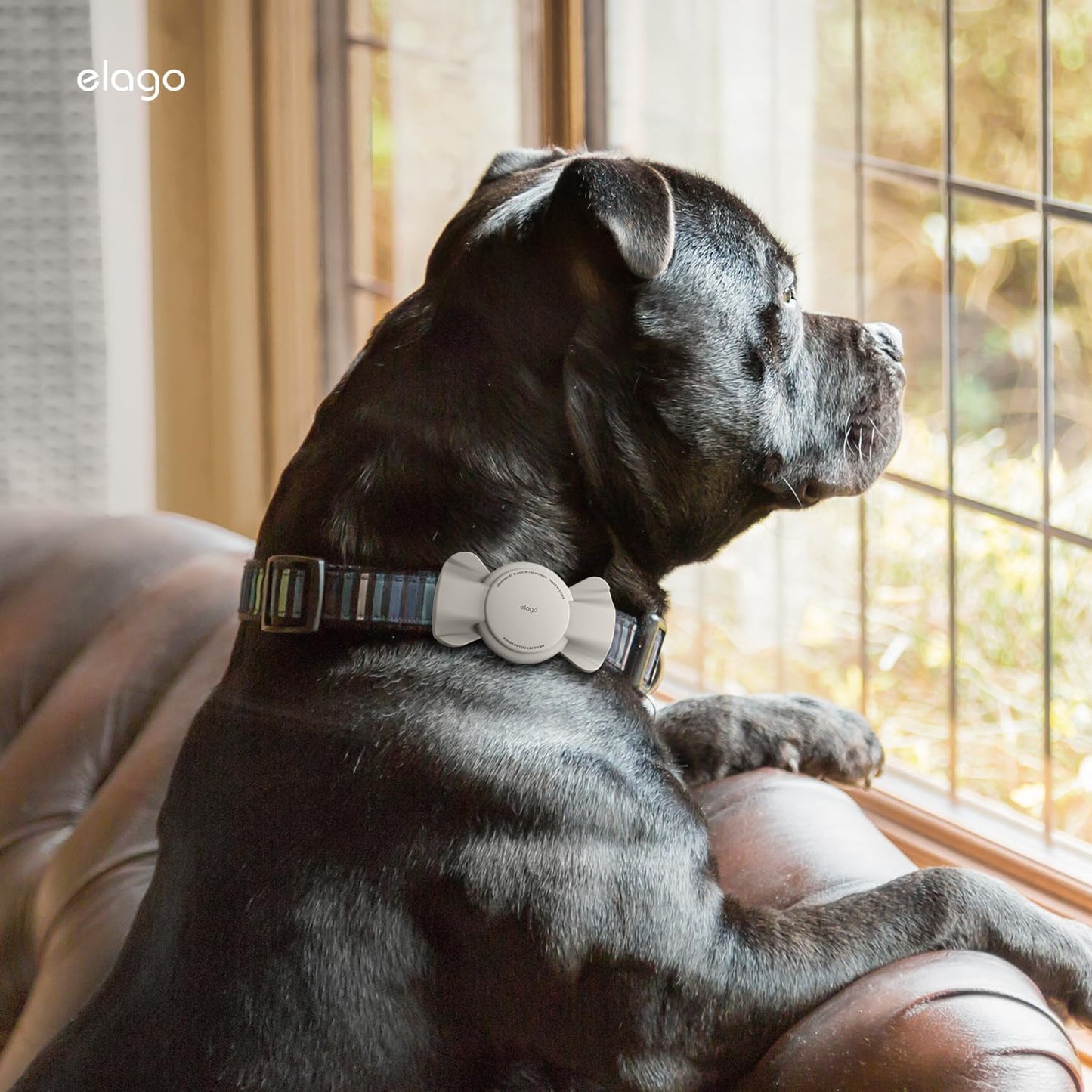 Capa para AirTag Elago para coleiras ou cordões - Cinza Pedra