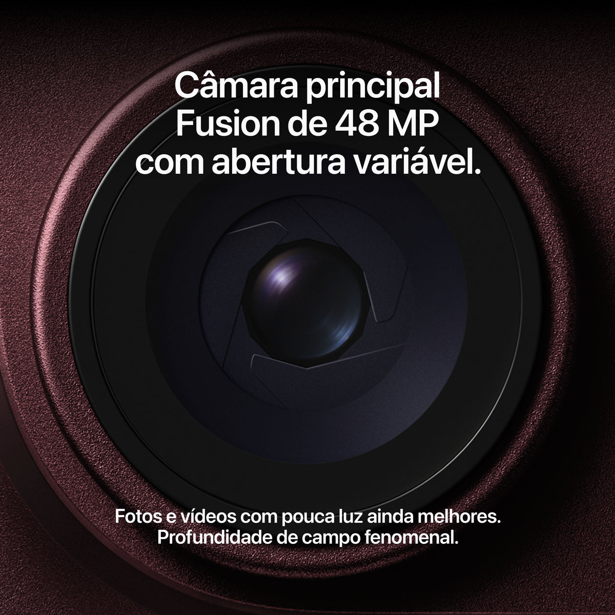 iPhone 18 Pro Max 256 GB Bordô