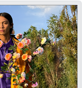 Veja ou edite uma peça de arte floral no brilhante ecrã Retina 4.5K