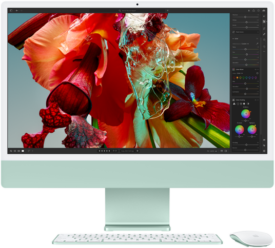 Ecrã do iMac com uma flor colorida no Adobe Lightroom para demonstrar a gama de cores e a resolução do ecrã Retina 4,5K.